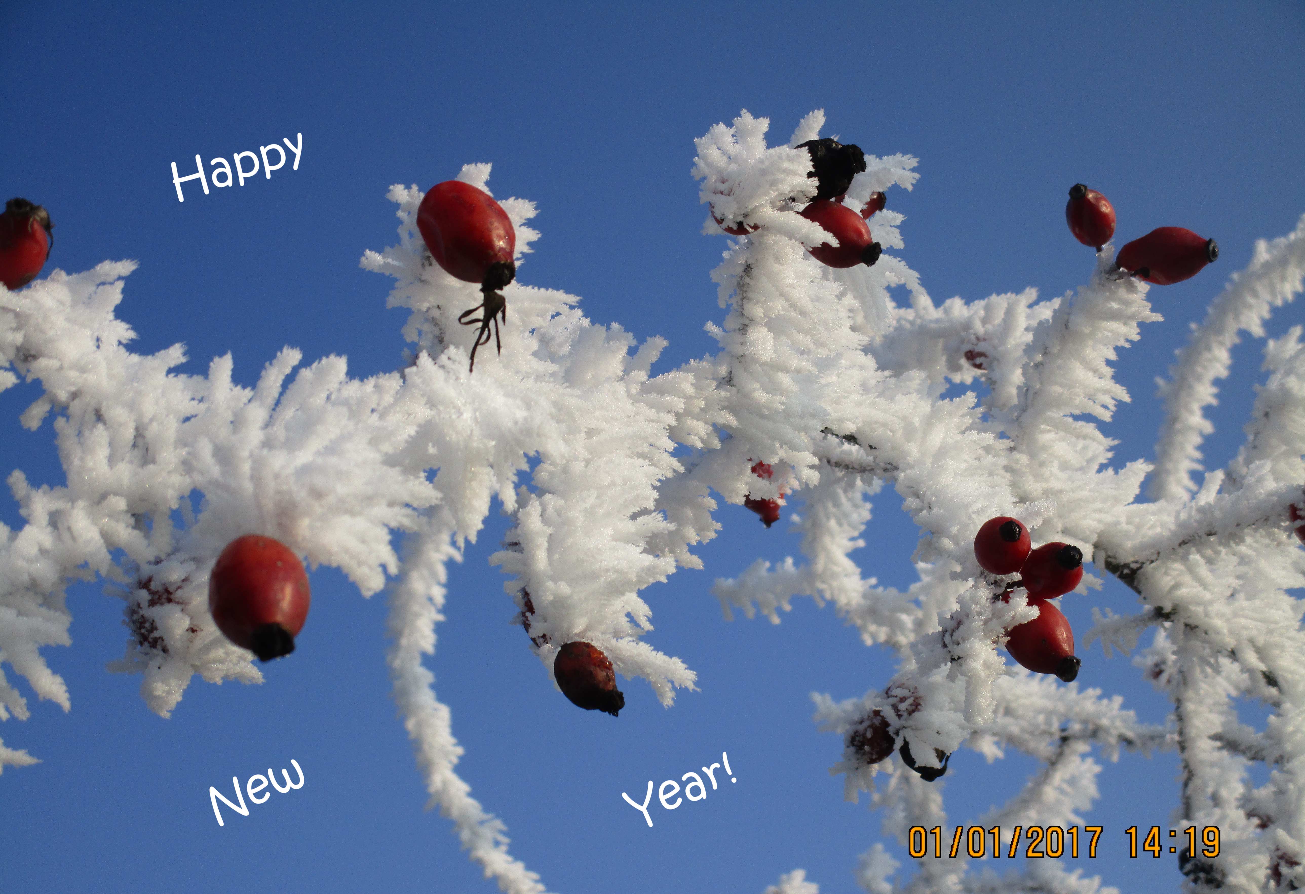 Alles Gute für das neue Jahr!